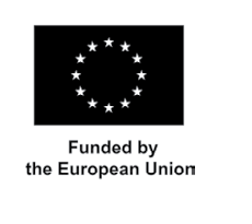 Финансируется Европейским союзом